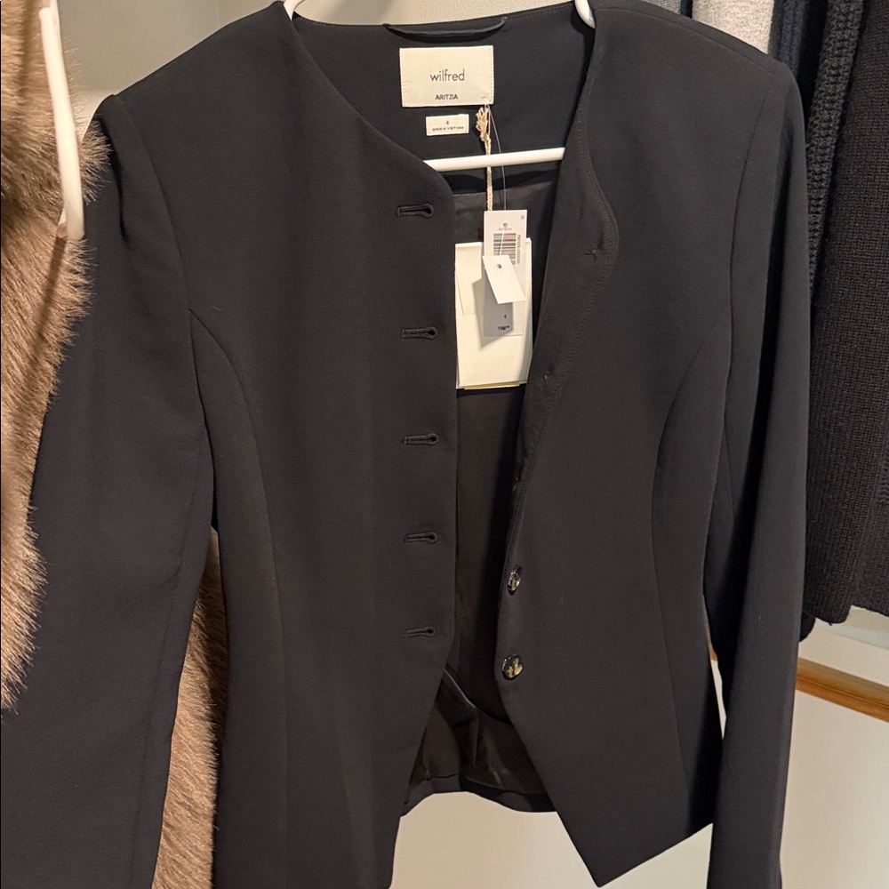 Aritzia Regal Blazer